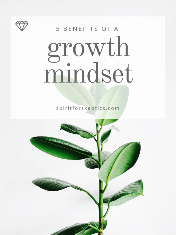 mindset - portrait (1).png